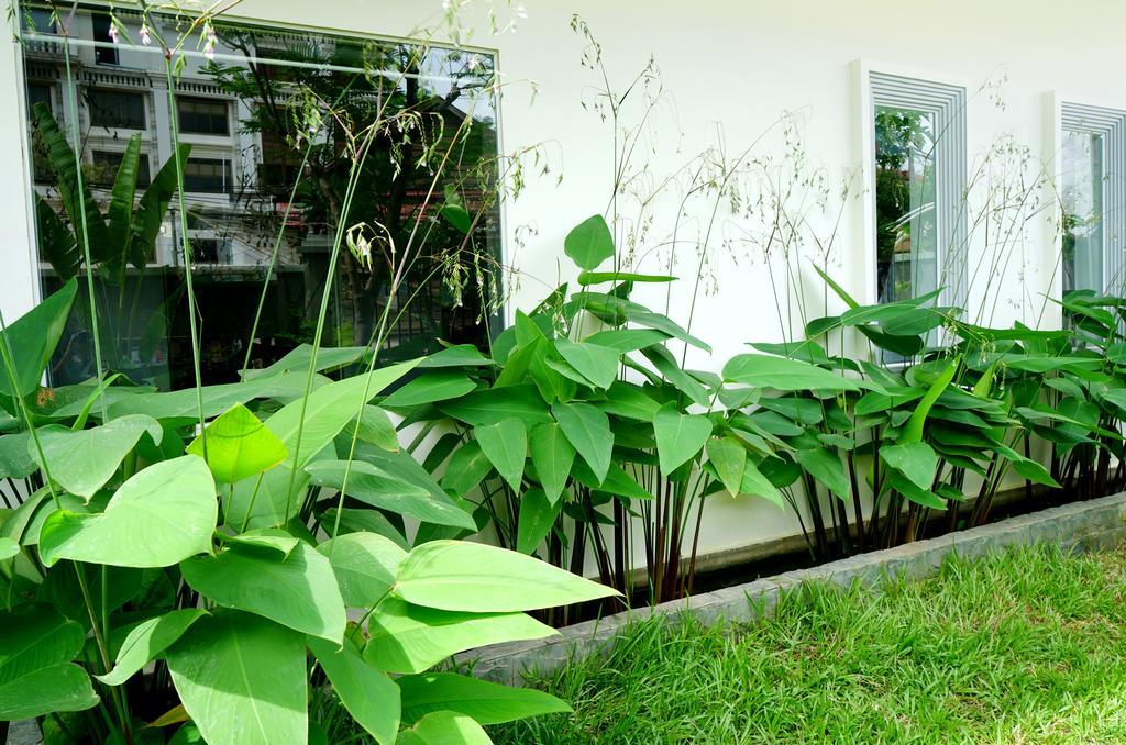 Paris Angkor Boutique Hotel Siem Reap Exterior photo